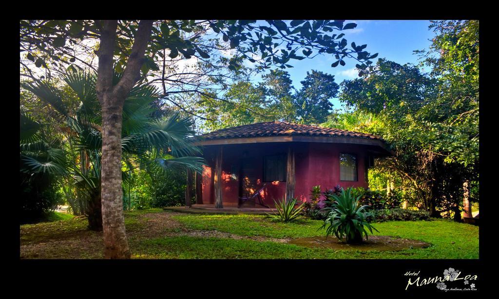 Hotel Mauna Loa Pinilla Bilik gambar
