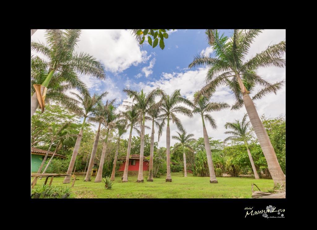 Hotel Mauna Loa Pinilla Luaran gambar
